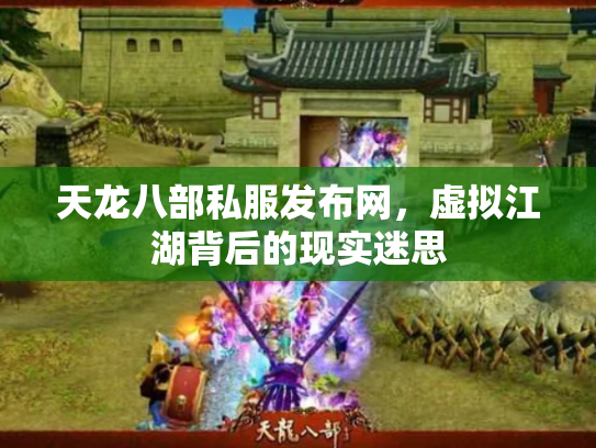 天龙八部私服发布网，虚拟江湖背后的现实迷思