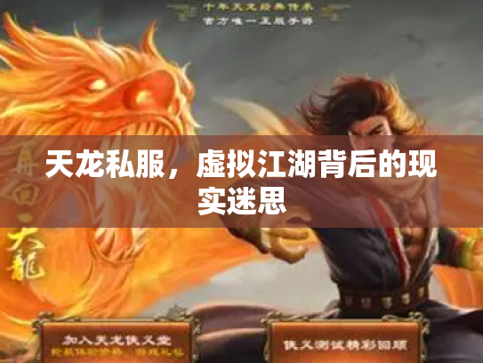 天龙私服，虚拟江湖背后的现实迷思