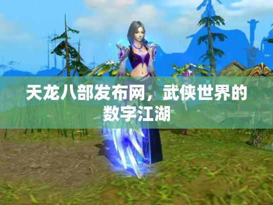 天龙八部发布网，武侠世界的数字江湖