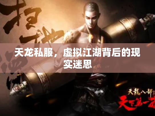 天龙私服，虚拟江湖背后的现实迷思