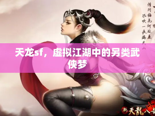 天龙sf，虚拟江湖中的另类武侠梦
