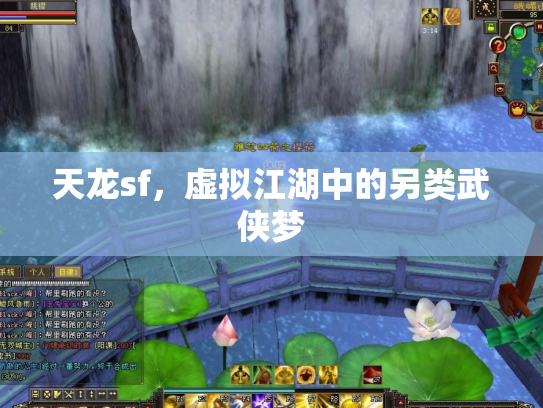 天龙sf，虚拟江湖中的另类武侠梦