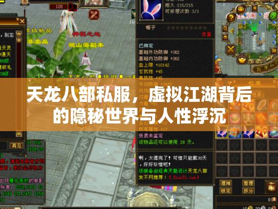 天龙八部私服，虚拟江湖背后的隐秘世界与人性浮沉