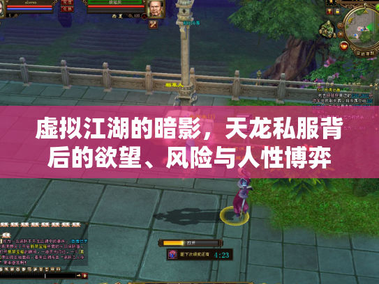 虚拟江湖的暗影，天龙私服背后的欲望、风险与人性博弈