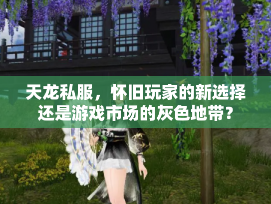 天龙私服，怀旧玩家的新选择还是游戏市场的灰色地带？