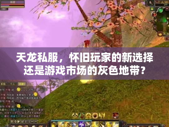 天龙私服，怀旧玩家的新选择还是游戏市场的灰色地带？