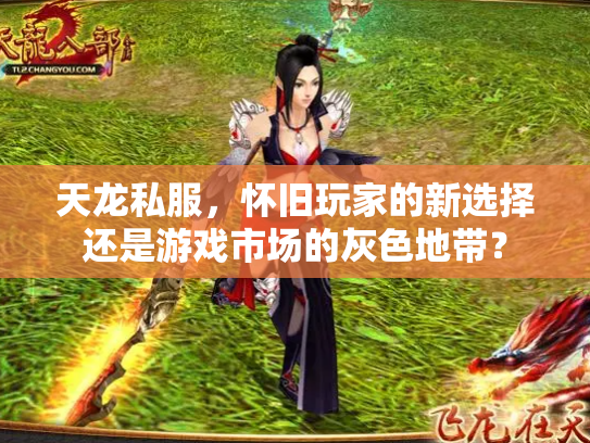 天龙私服，怀旧玩家的新选择还是游戏市场的灰色地带？