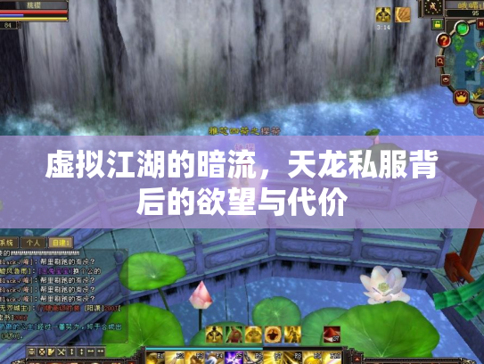 虚拟江湖的暗流，天龙私服背后的欲望与代价