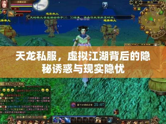 天龙私服，虚拟江湖背后的隐秘诱惑与现实隐忧