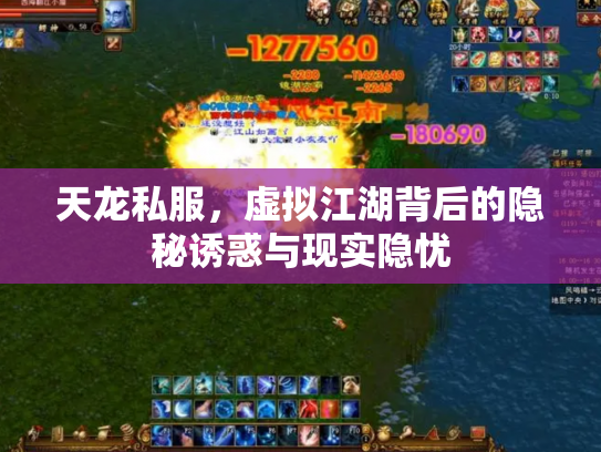天龙私服，虚拟江湖背后的隐秘诱惑与现实隐忧
