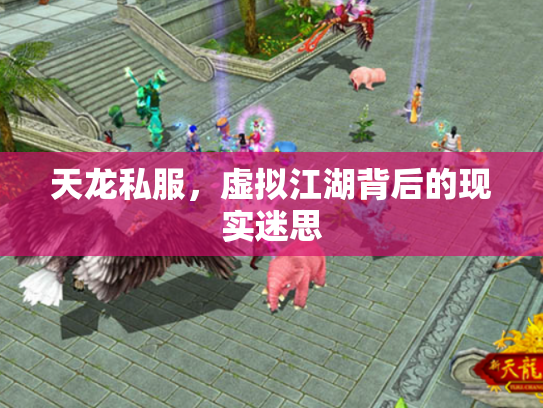 天龙私服，虚拟江湖背后的现实迷思