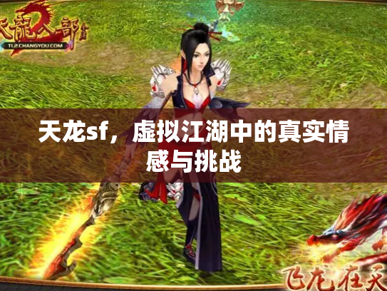 天龙sf，虚拟江湖中的真实情感与挑战