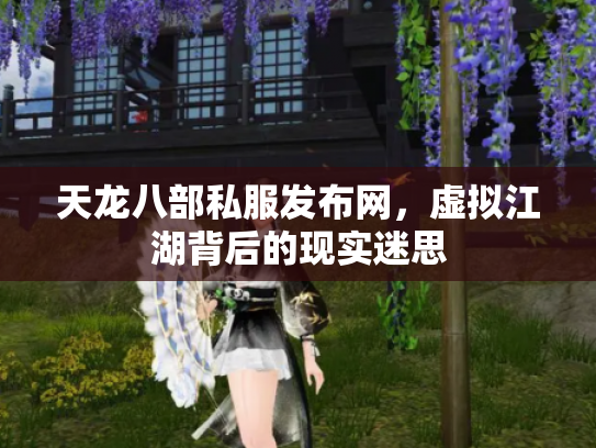 天龙八部私服发布网，虚拟江湖背后的现实迷思