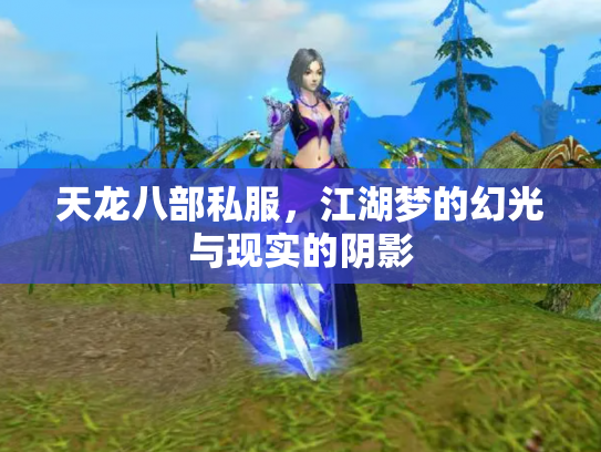 天龙八部私服，江湖梦的幻光与现实的阴影
