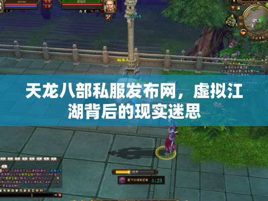 天龙八部私服发布网，虚拟江湖背后的现实迷思