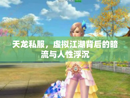 天龙私服，虚拟江湖背后的暗流与人性浮沉