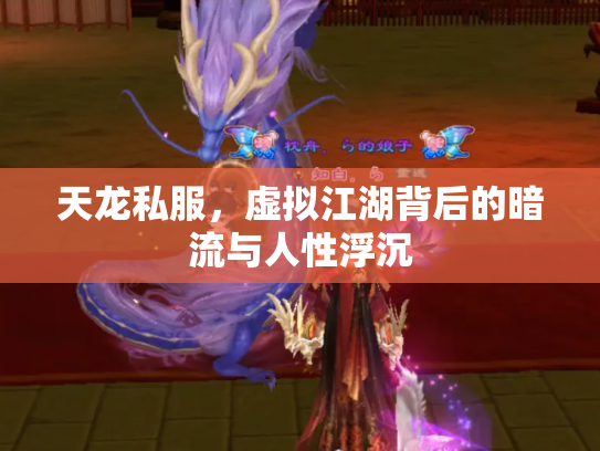天龙私服，虚拟江湖背后的暗流与人性浮沉