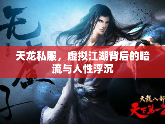天龙私服，虚拟江湖背后的暗流与人性浮沉