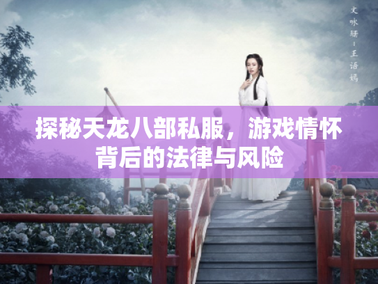 探秘天龙八部私服，游戏情怀背后的法律与风险
