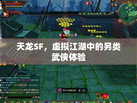 天龙SF，虚拟江湖中的另类武侠体验