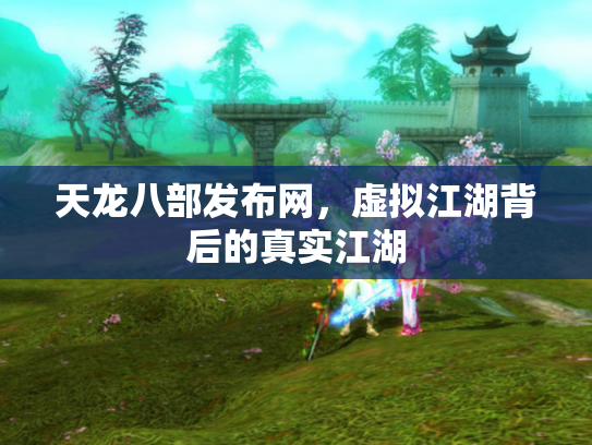天龙八部发布网，虚拟江湖背后的真实江湖