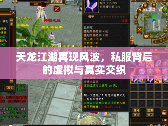 天龙江湖再现风波，私服背后的虚拟与真实交织