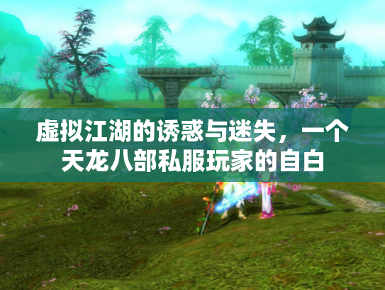 虚拟江湖的诱惑与迷失，一个天龙八部私服玩家的自白