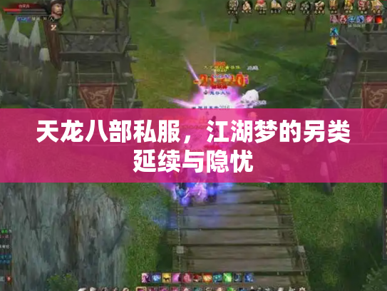 天龙八部私服，江湖梦的另类延续与隐忧
