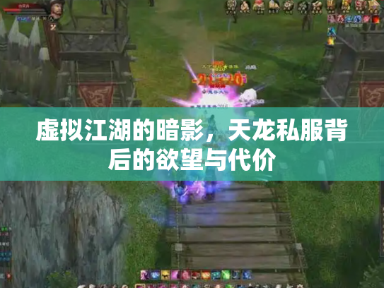 虚拟江湖的暗影，天龙私服背后的欲望与代价
