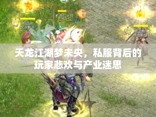 天龙江湖梦未央，私服背后的玩家悲欢与产业迷思