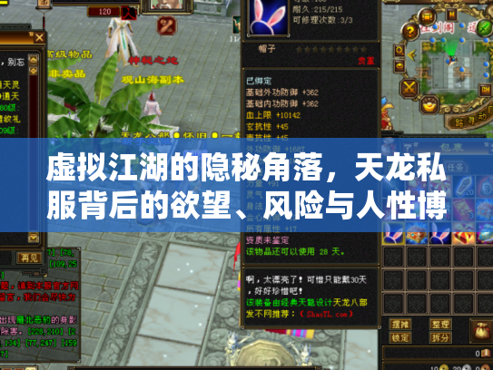 虚拟江湖的隐秘角落，天龙私服背后的欲望、风险与人性博弈