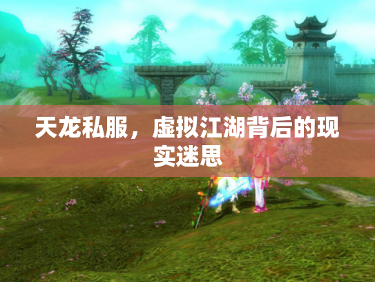 天龙私服，虚拟江湖背后的现实迷思