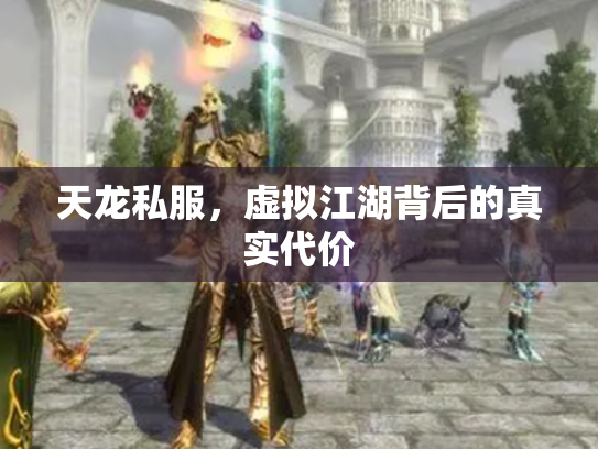 天龙私服，虚拟江湖背后的真实代价