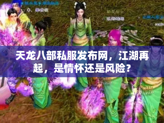 天龙八部私服发布网，江湖再起，是情怀还是风险？