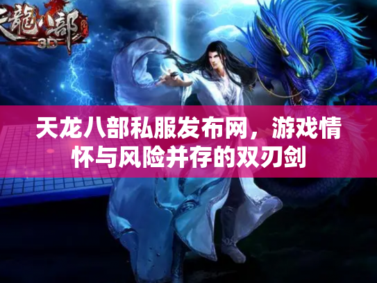 天龙八部私服发布网，游戏情怀与风险并存的双刃剑