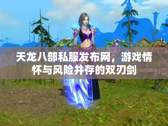 天龙八部私服发布网，游戏情怀与风险并存的双刃剑