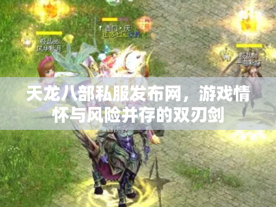 天龙八部私服发布网，游戏情怀与风险并存的双刃剑