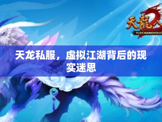 天龙私服，虚拟江湖背后的现实迷思