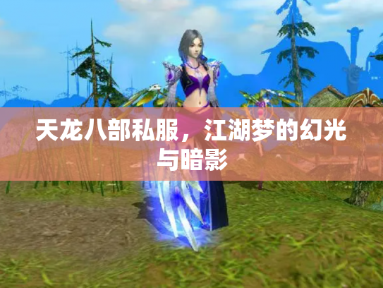 天龙八部私服，江湖梦的幻光与暗影