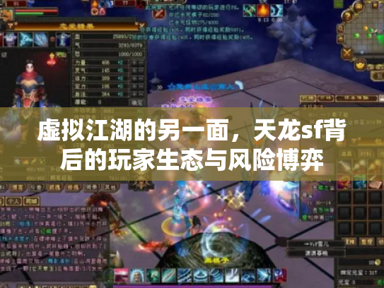 虚拟江湖的另一面，天龙sf背后的玩家生态与风险博弈