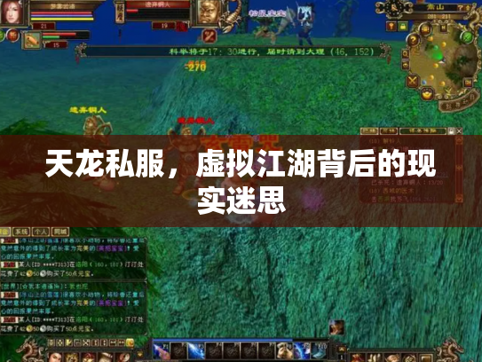 天龙私服，虚拟江湖背后的现实迷思