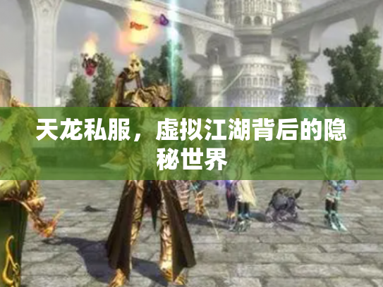 天龙私服，虚拟江湖背后的隐秘世界