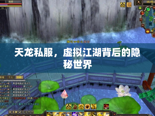 天龙私服，虚拟江湖背后的隐秘世界