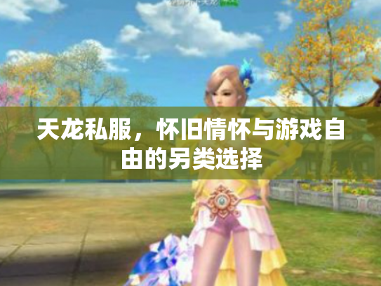 天龙私服，怀旧情怀与游戏自由的另类选择