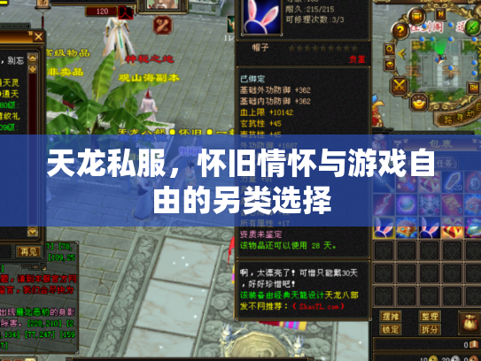 天龙私服，怀旧情怀与游戏自由的另类选择