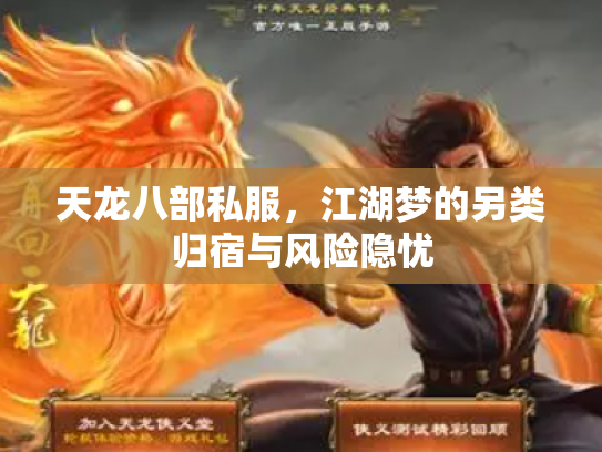 天龙八部私服，江湖梦的另类归宿与风险隐忧