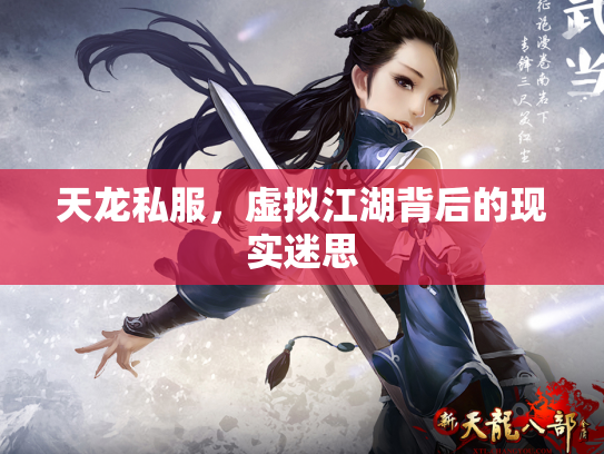 天龙私服，虚拟江湖背后的现实迷思
