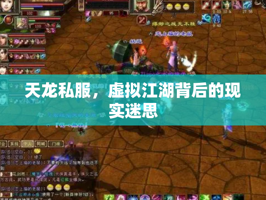 天龙私服，虚拟江湖背后的现实迷思