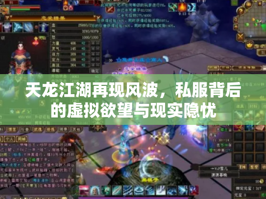 天龙江湖再现风波，私服背后的虚拟欲望与现实隐忧