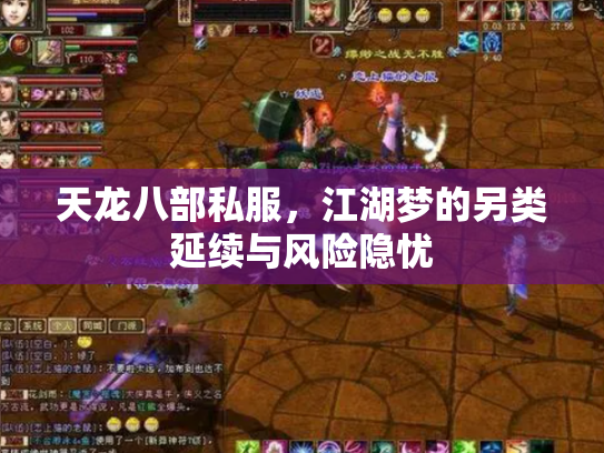 天龙八部私服，江湖梦的另类延续与风险隐忧